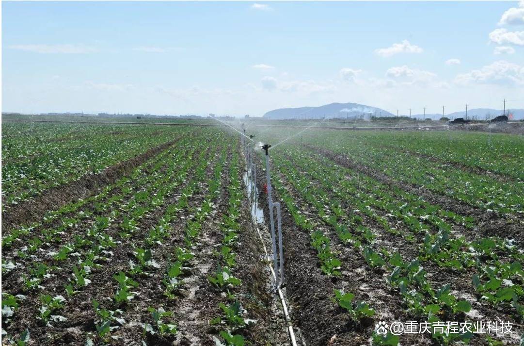 廣元節(jié)水灌溉 科技引領(lǐng)，守護(hù)綠水青山